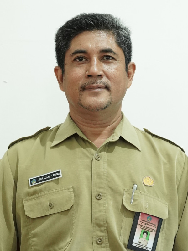 Cokorde Gede Indrajaya Trisnu, S.H., MAP.